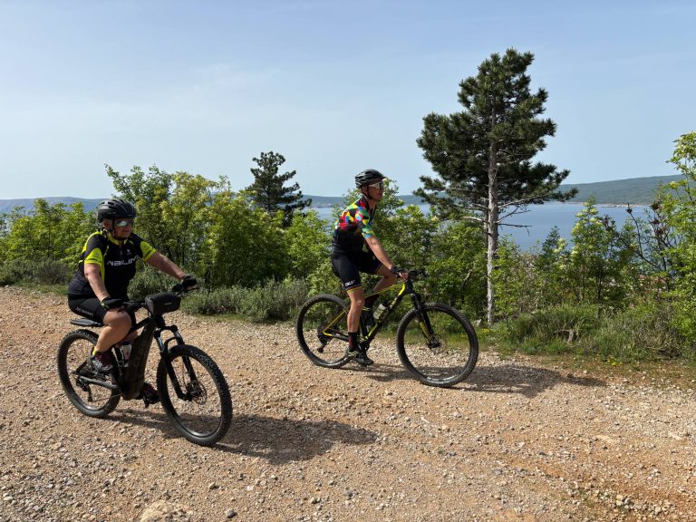 19147eea 5c35 4e08 866c 189c6d2aefe8