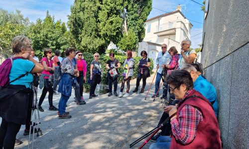 20221015_122844_resized_1