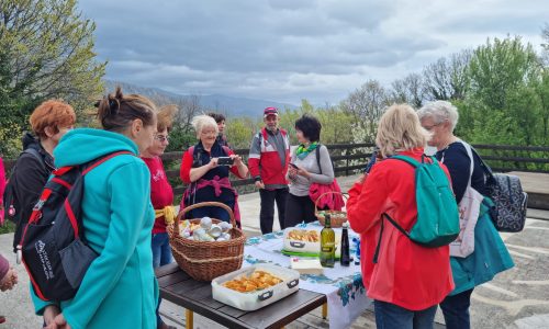 277675589_517681289765977_796746952174905734_n